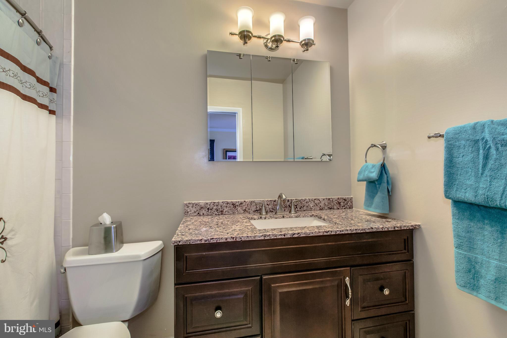 710 Kingsley Road Southwest Vienna, VA 22180 - Photo 14 of 21 Bath (Master)