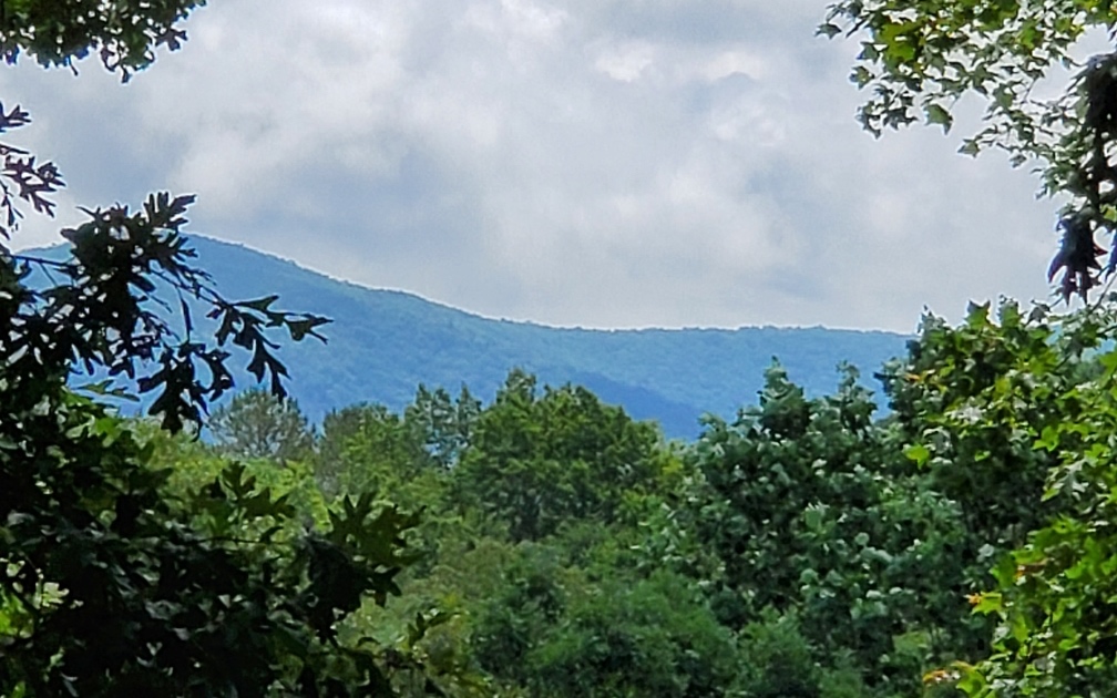 208 Crestview Lane Cherry Log, GA 30522 - Photo 5 of 35 Additional View