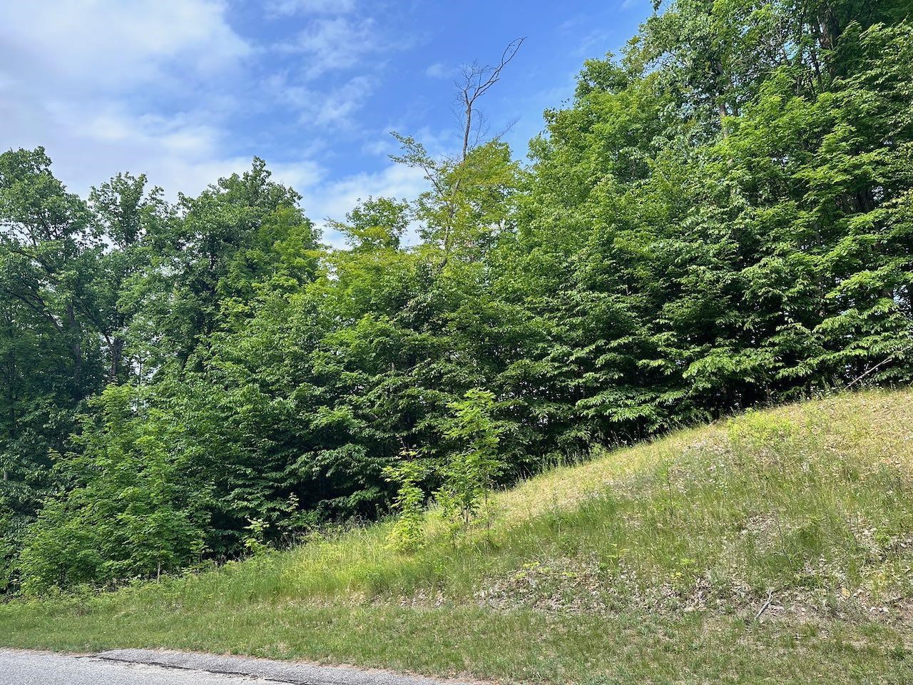 170 Raptor Run, Unit LOT: 170 Bellaire, MI 49615 - Photo 11 of 29