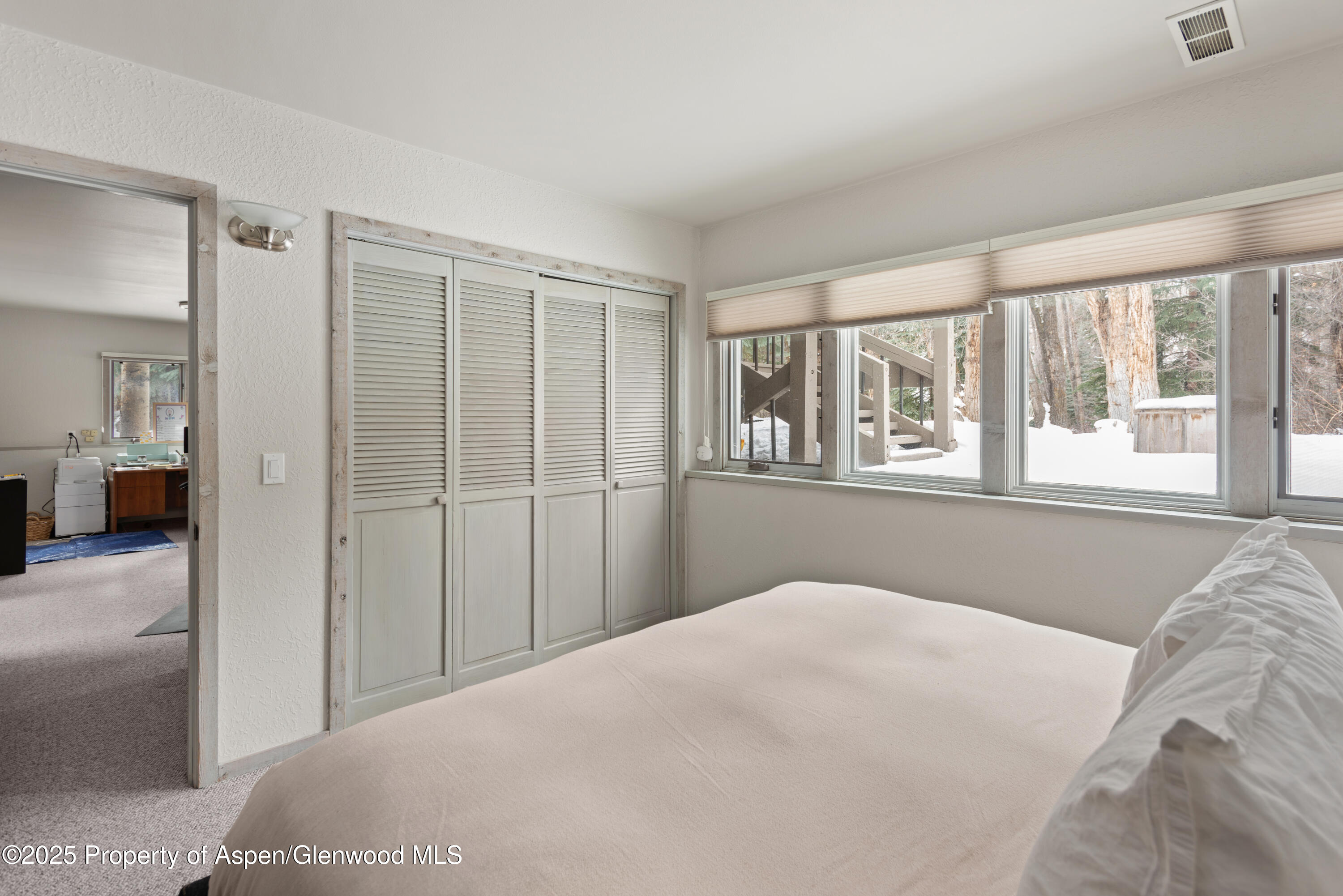 645 Sneaky Lane Aspen, CO 81611 - Photo 30 of 31 645SneakyLn_HiRes23121419