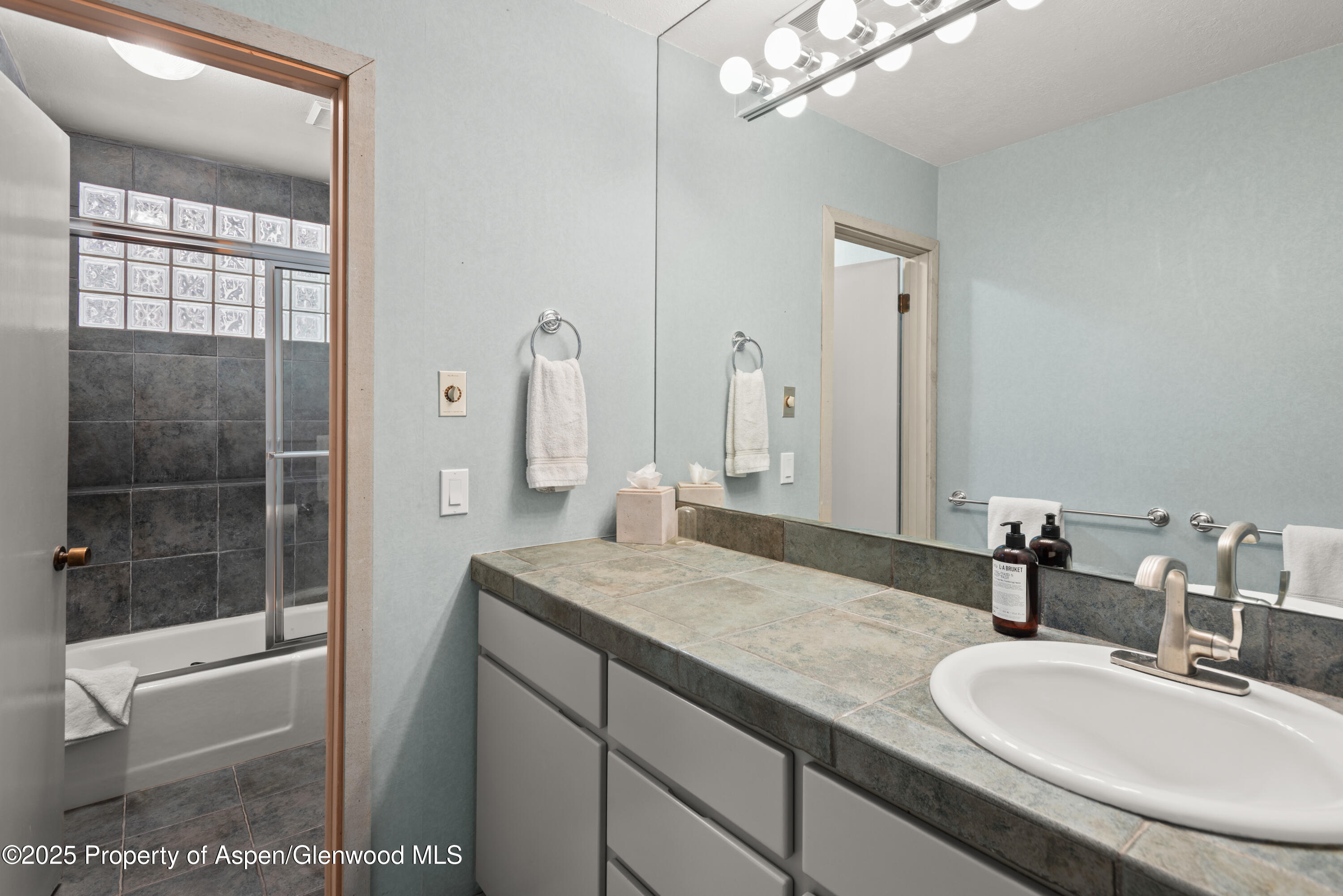 645 Sneaky Lane Aspen, CO 81611 - Photo 31 of 31 645SneakyLn_HiRes23121420