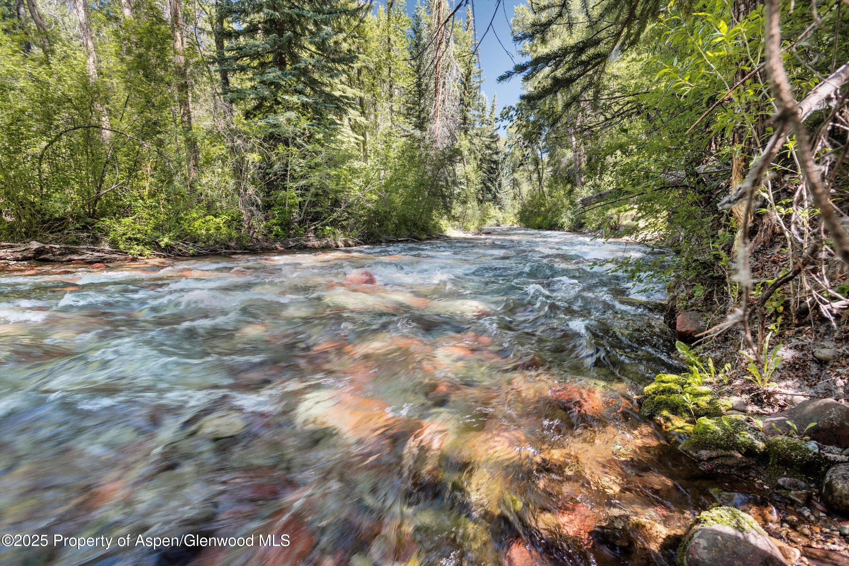 645 Sneaky Lane Aspen, CO 81611 - Photo 6 of 31 a view of backyard with green space