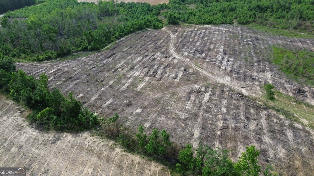 0 Bunn Store Road, Unit TRACT 4 Midville, GA 30441 - Photo 11 of 16