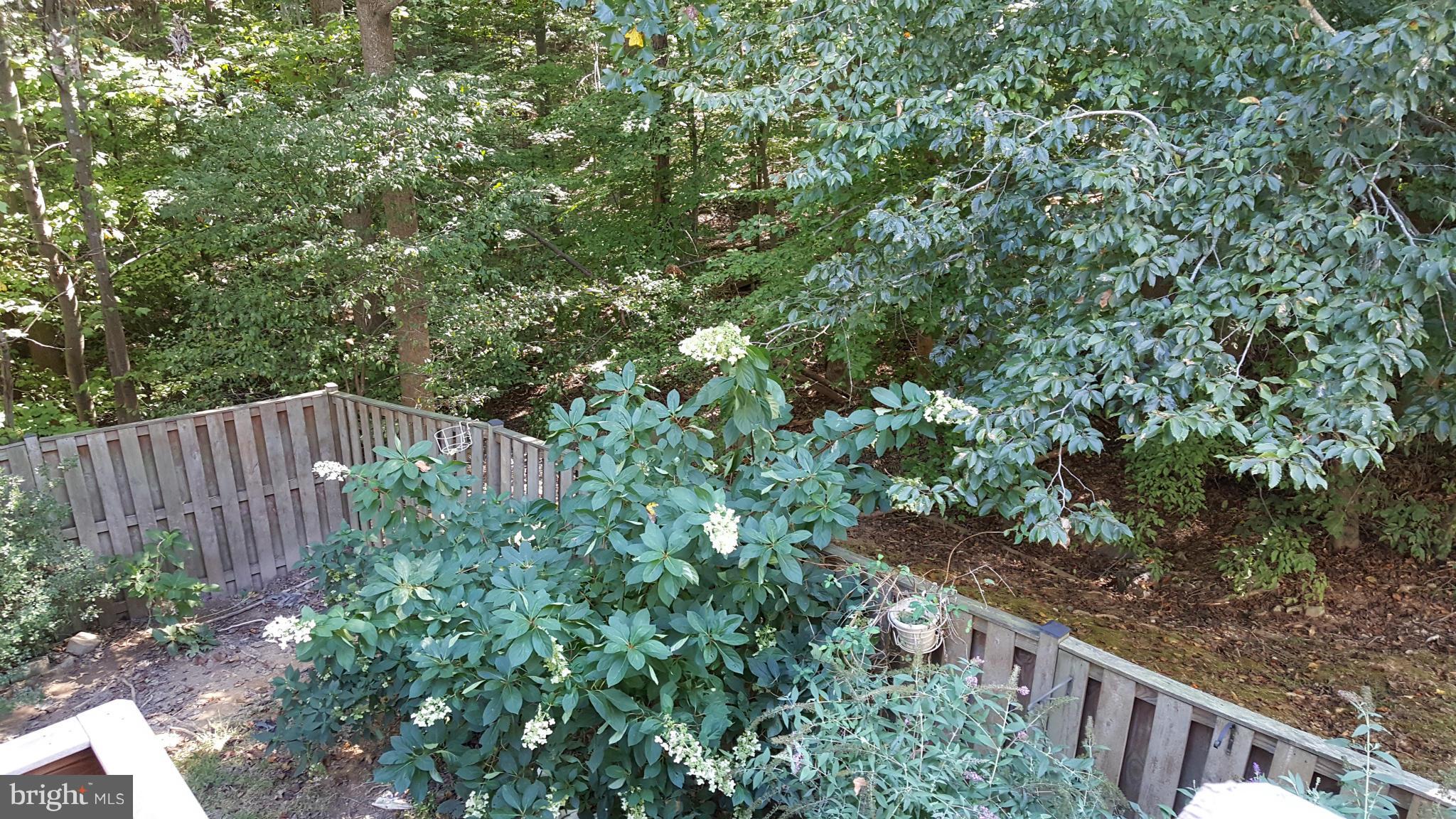 7909 Forest Path Way Springfield, VA 22153 - Photo 21 of 22 Backyard View