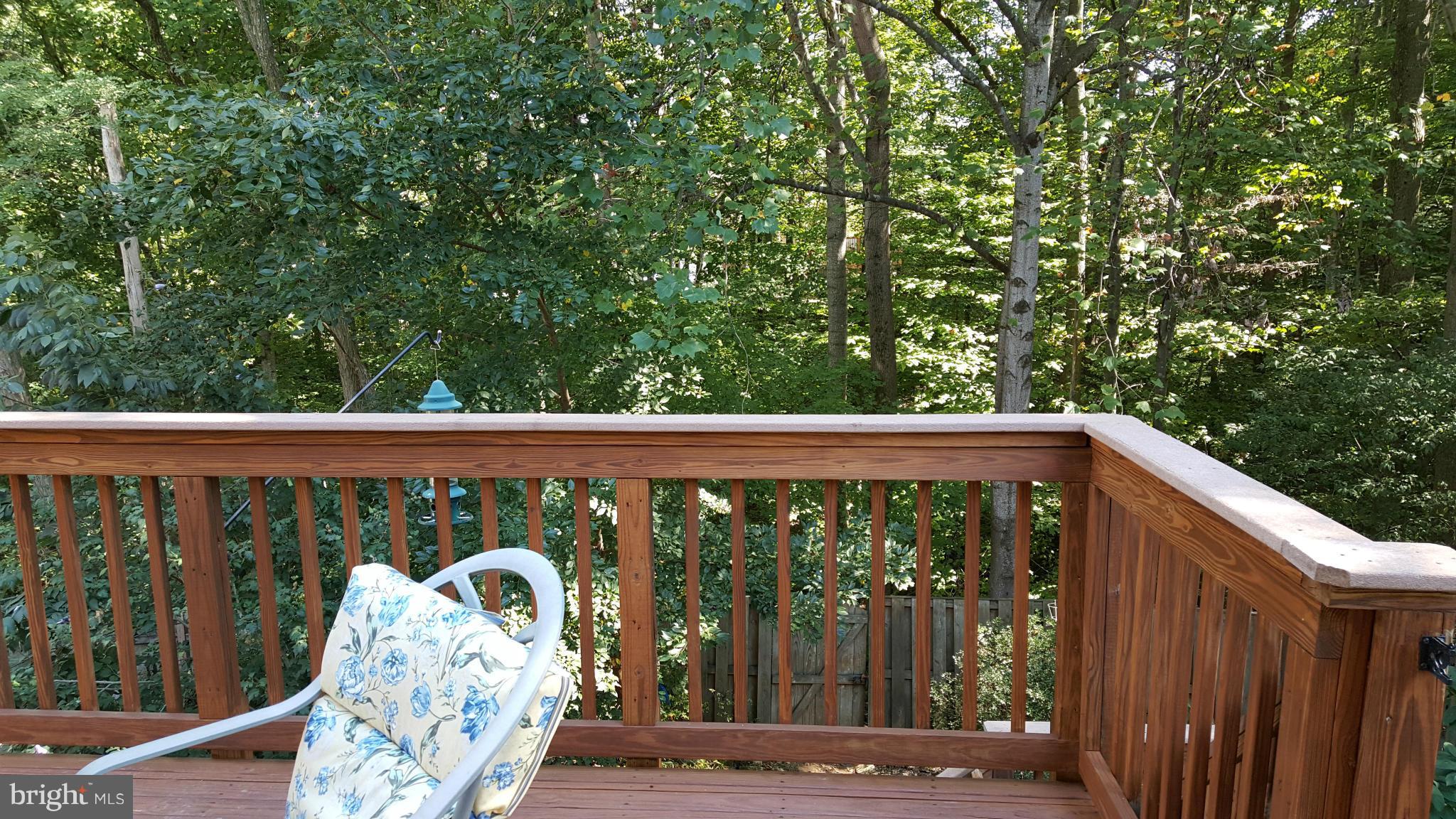 7909 Forest Path Way Springfield, VA 22153 - Photo 22 of 22 Backyard View