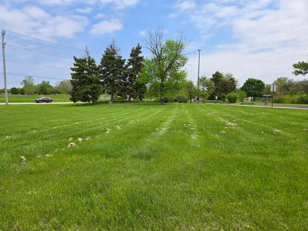 a view of a field with plants and trees