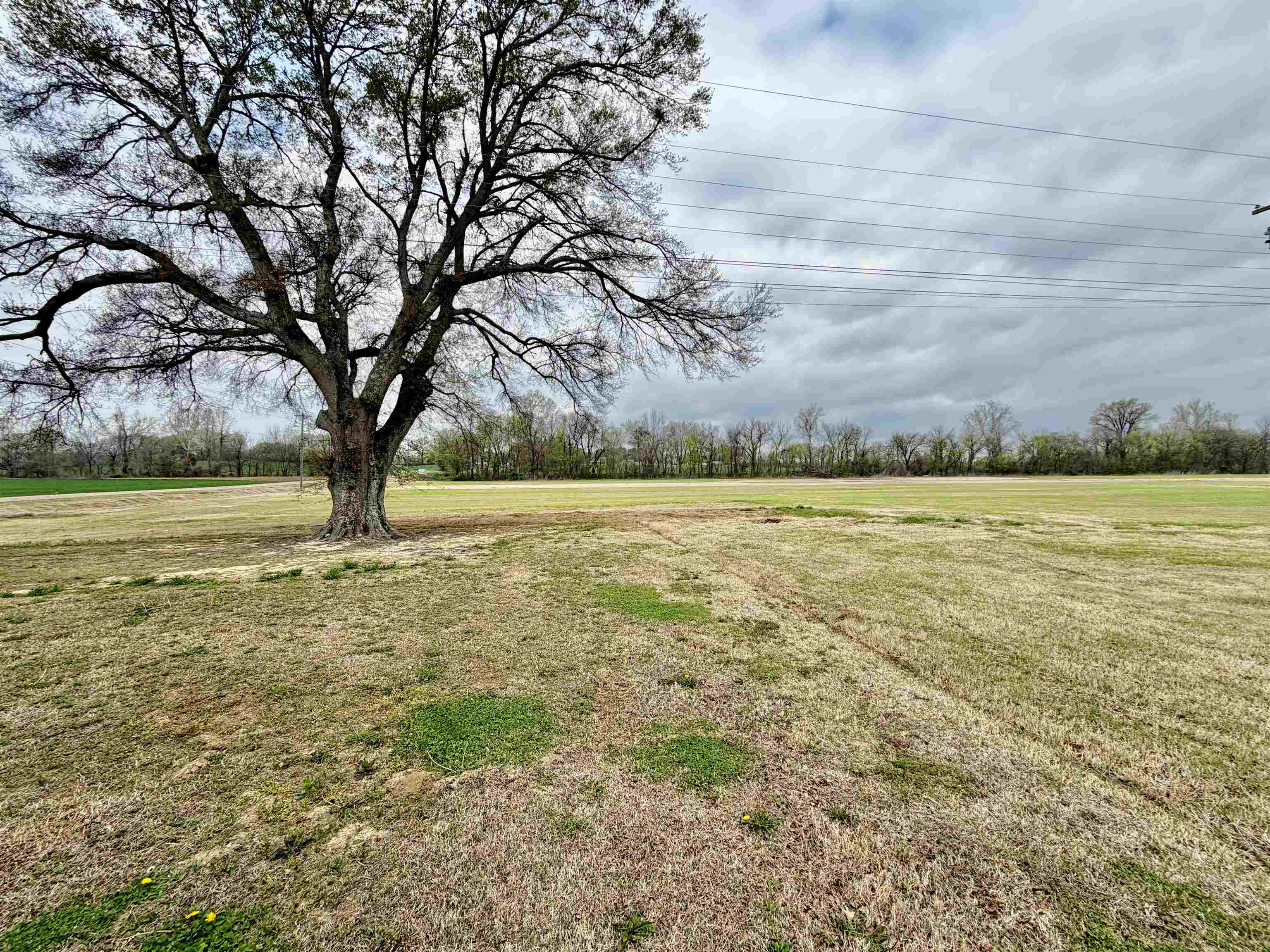 5442 Bride Road Covington, TN 38019 - Photo 19 of 19 View of green lawn