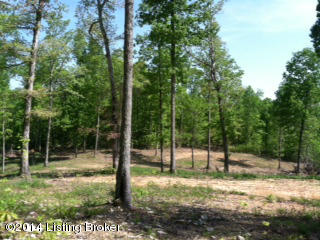 52 Blain Cannon Road Falls Of Rough, KY 40119 - Photo 1 of 7 clearing 2