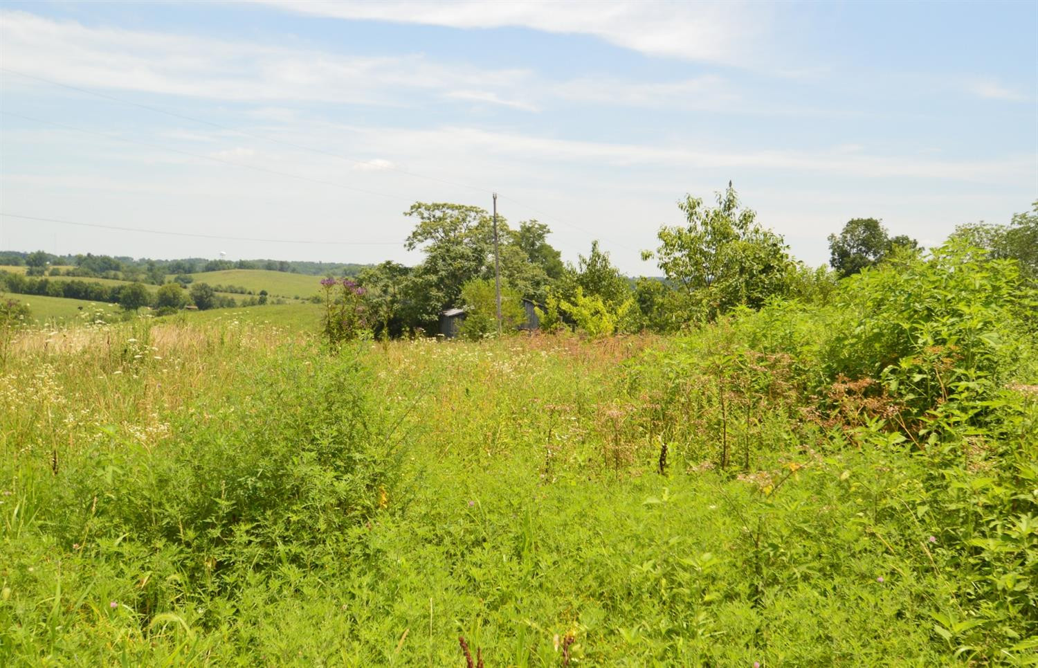 1680 Irvine Road Winchester, KY 40391 - Photo 9 of 12 Listing Photo