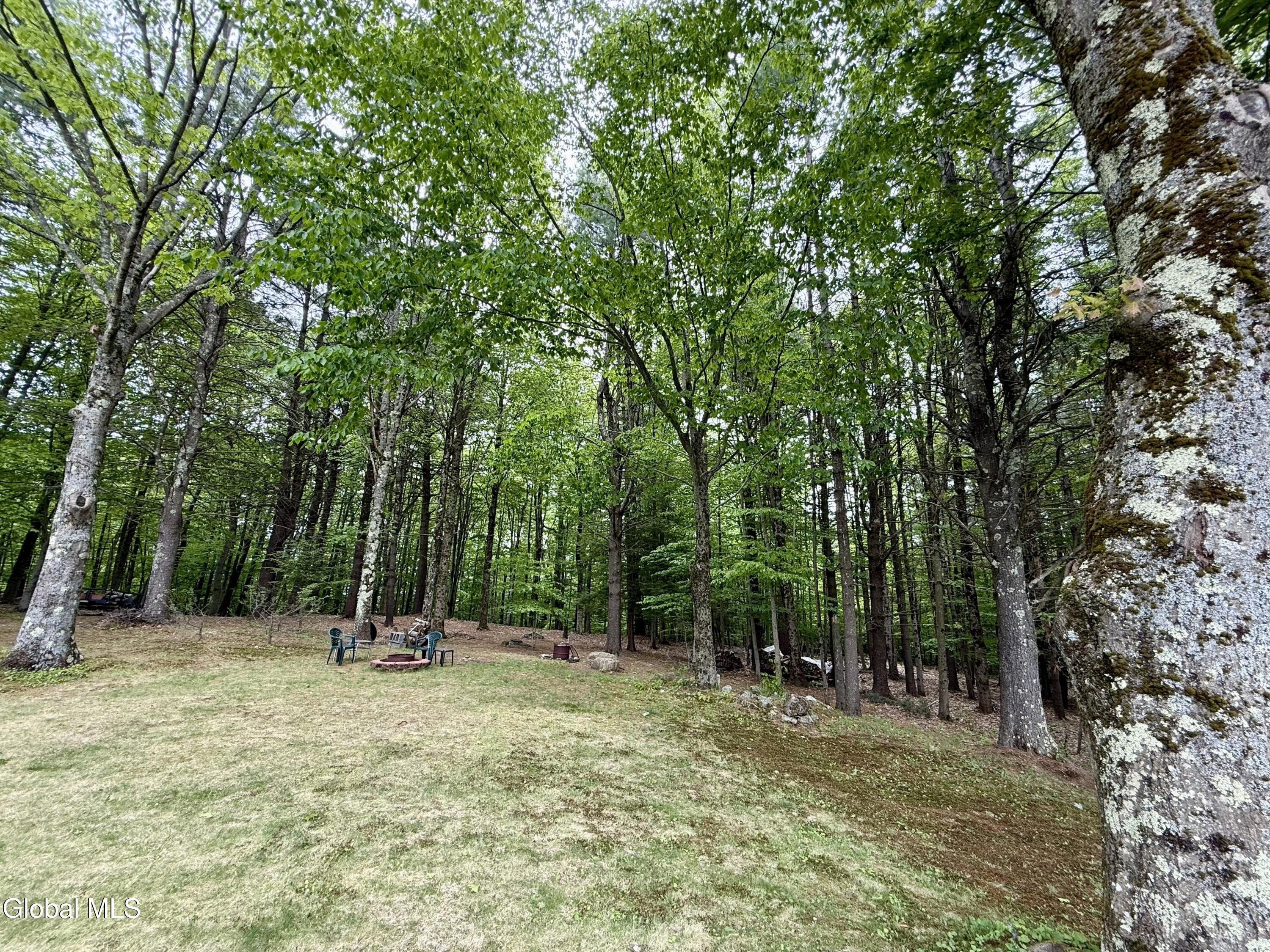 155 South Line Road Providence, NY 12850 - Photo 19 of 20 IMG_0643