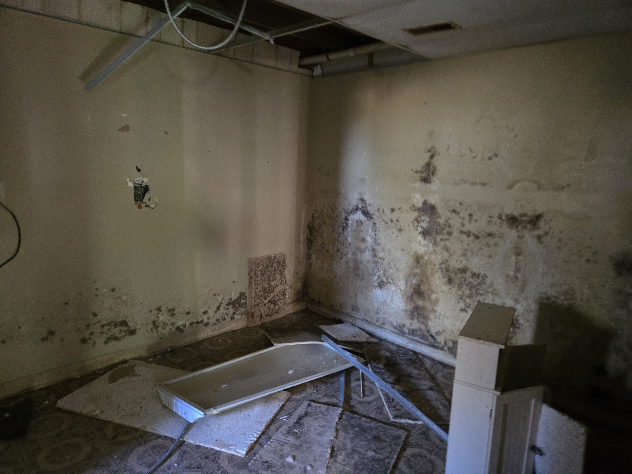 7569 Greenwood Road Cross Plains, TN 37049 - Photo 15 of 16 view of a room with rack