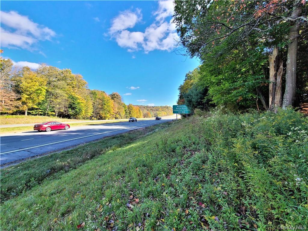 Lot 5.4 Kaufman Road Monticello, NY 12701 - Photo 6 of 45