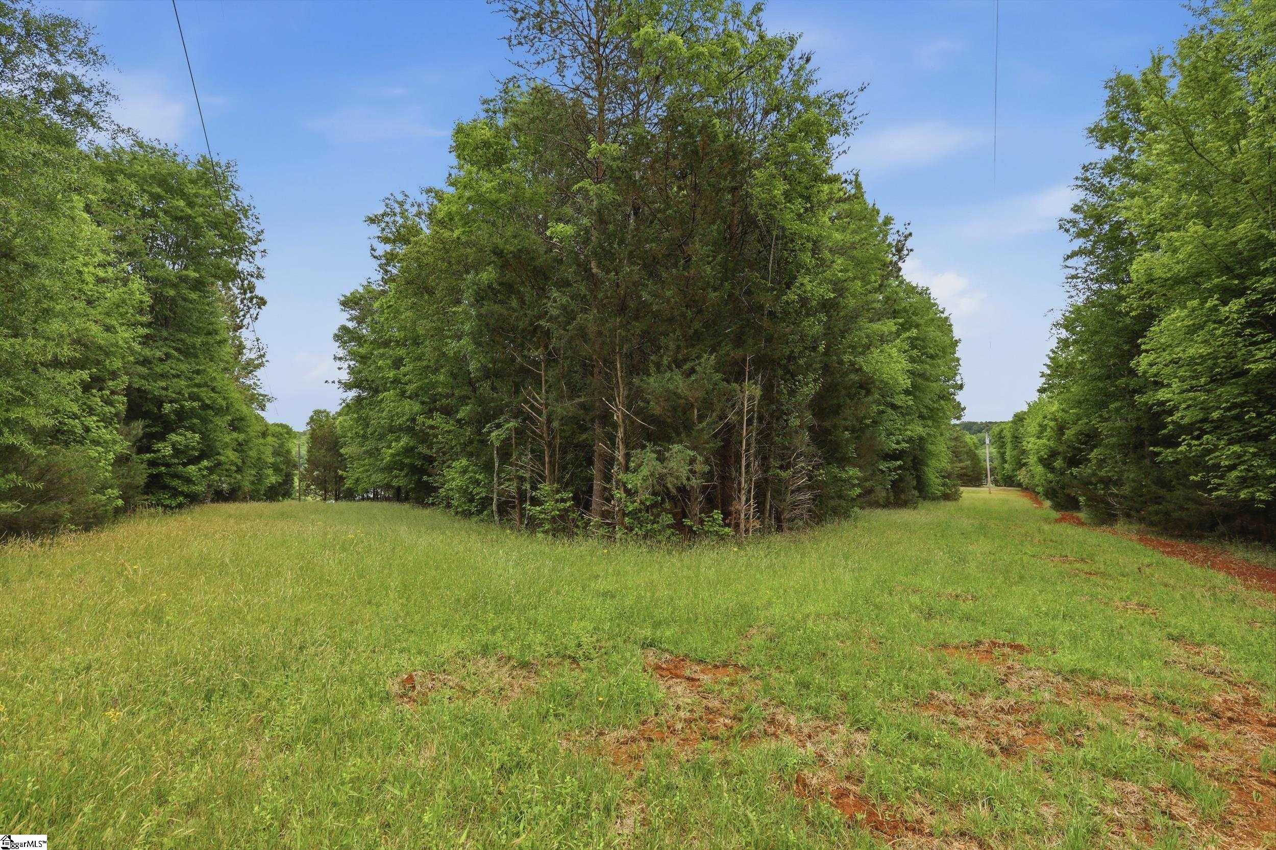 136 Diamond Drive Liberty, SC 29657 - Photo 38 of 42