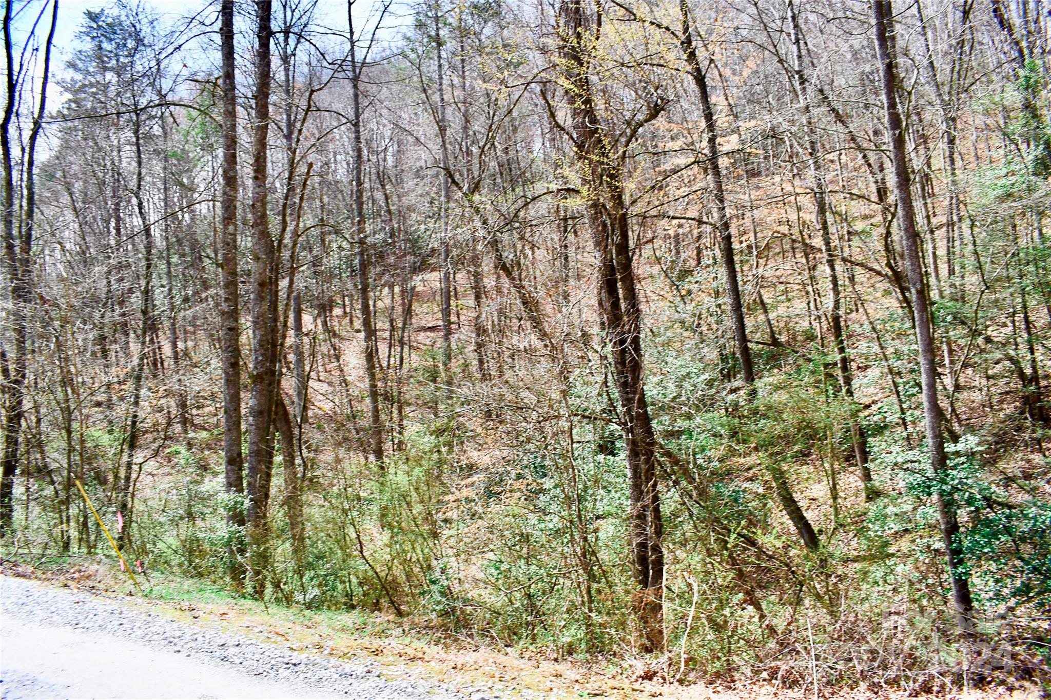 0 Ebenezer Road Old Fort, NC 28762 - Photo 1 of 20 Gallery Image 1