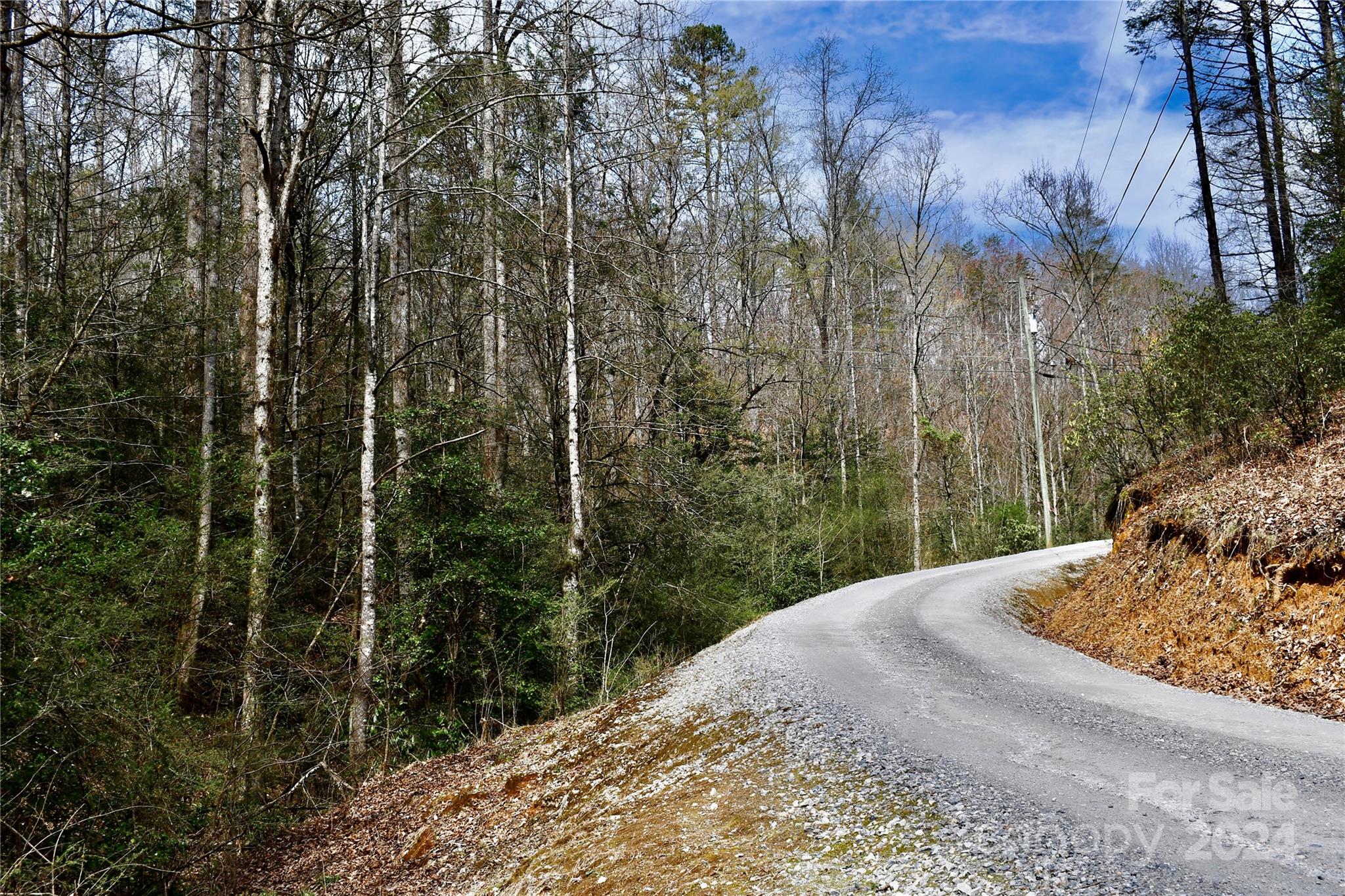0 Ebenezer Road Old Fort, NC 28762 - Photo 11 of 20 Gallery Image 11