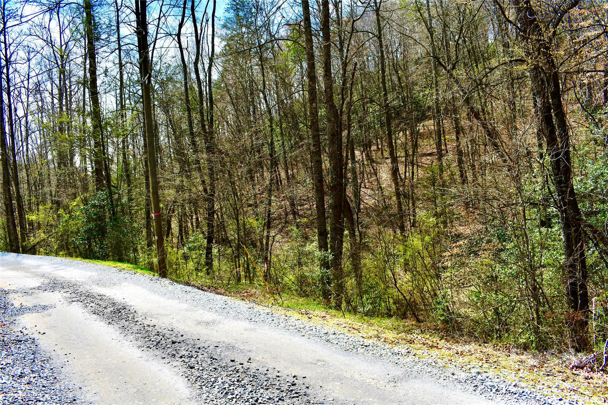 0 Ebenezer Road Old Fort, NC 28762 - Photo 12 of 20 Gallery Image 12