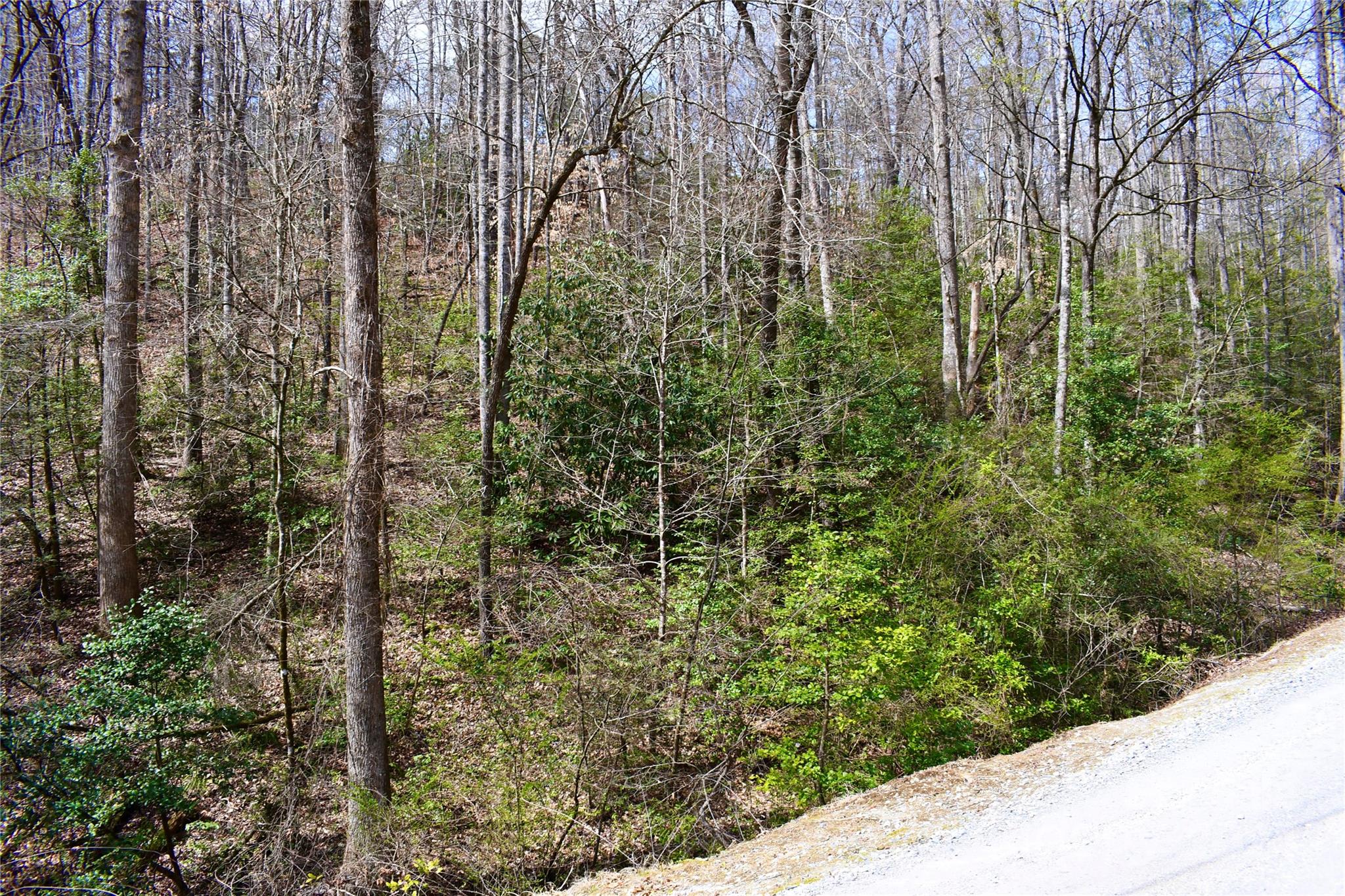 0 Ebenezer Road Old Fort, NC 28762 - Photo 13 of 20 Gallery Image 13