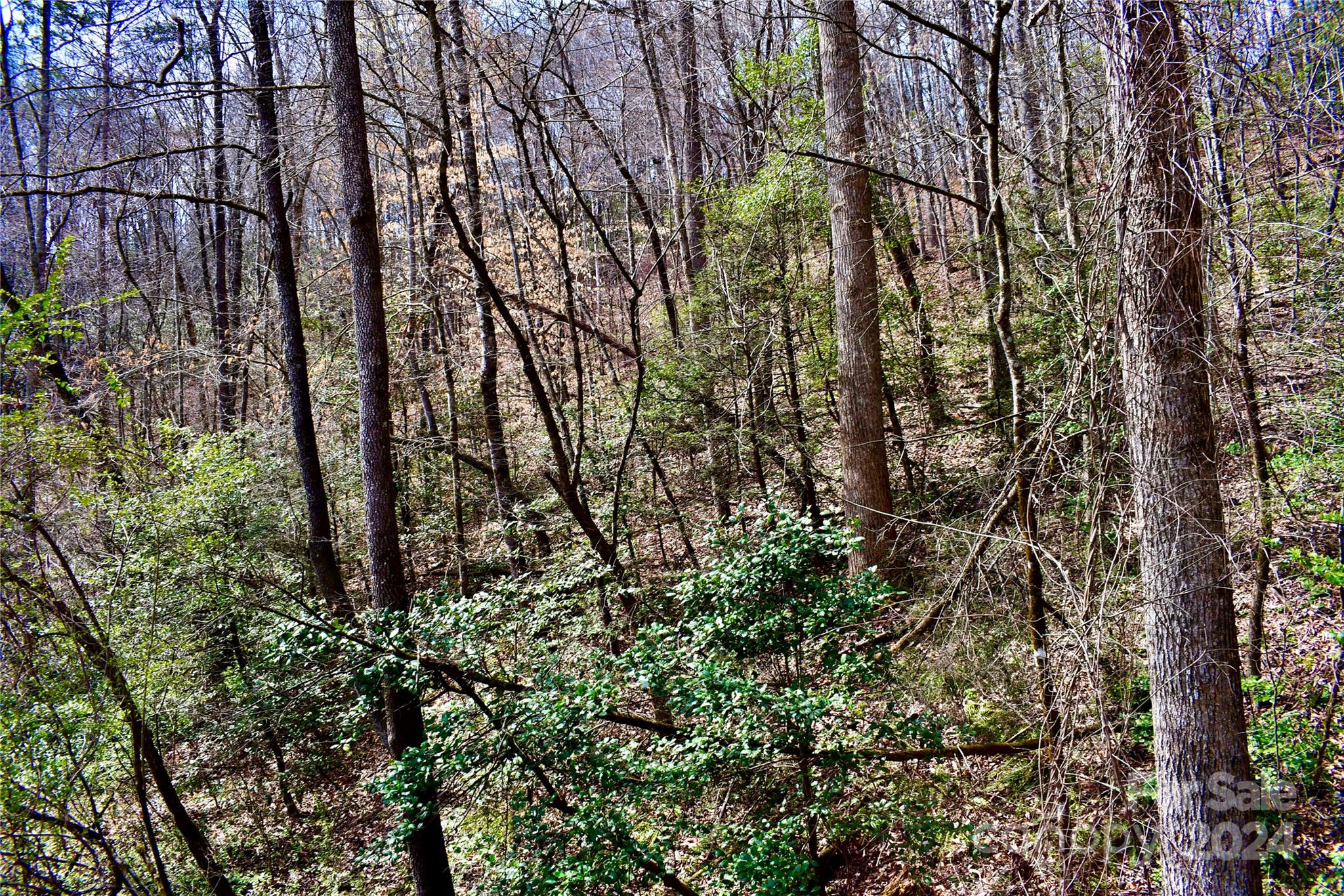 0 Ebenezer Road Old Fort, NC 28762 - Photo 14 of 20 Gallery Image 14