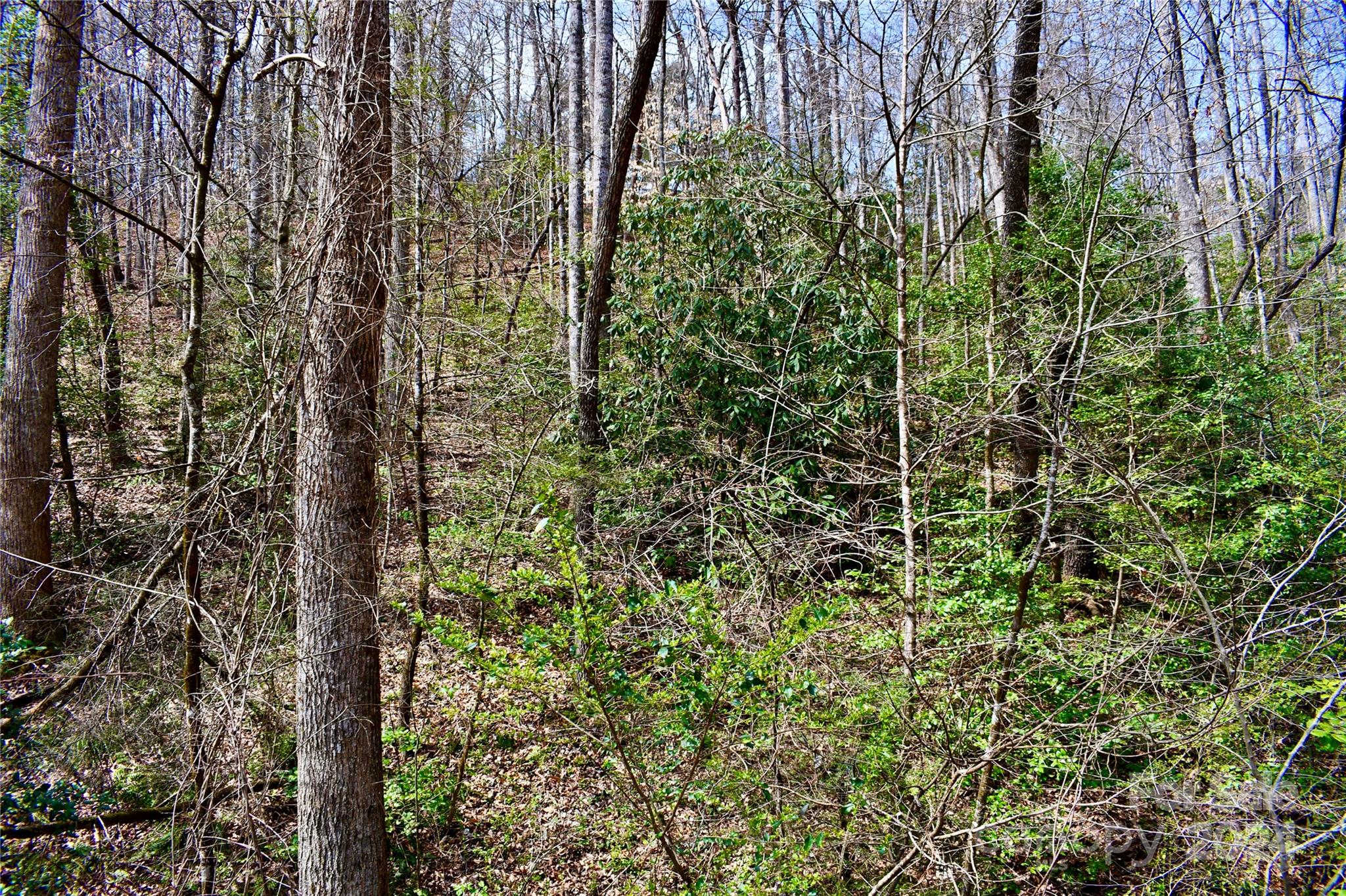 0 Ebenezer Road Old Fort, NC 28762 - Photo 15 of 20 Gallery Image 15