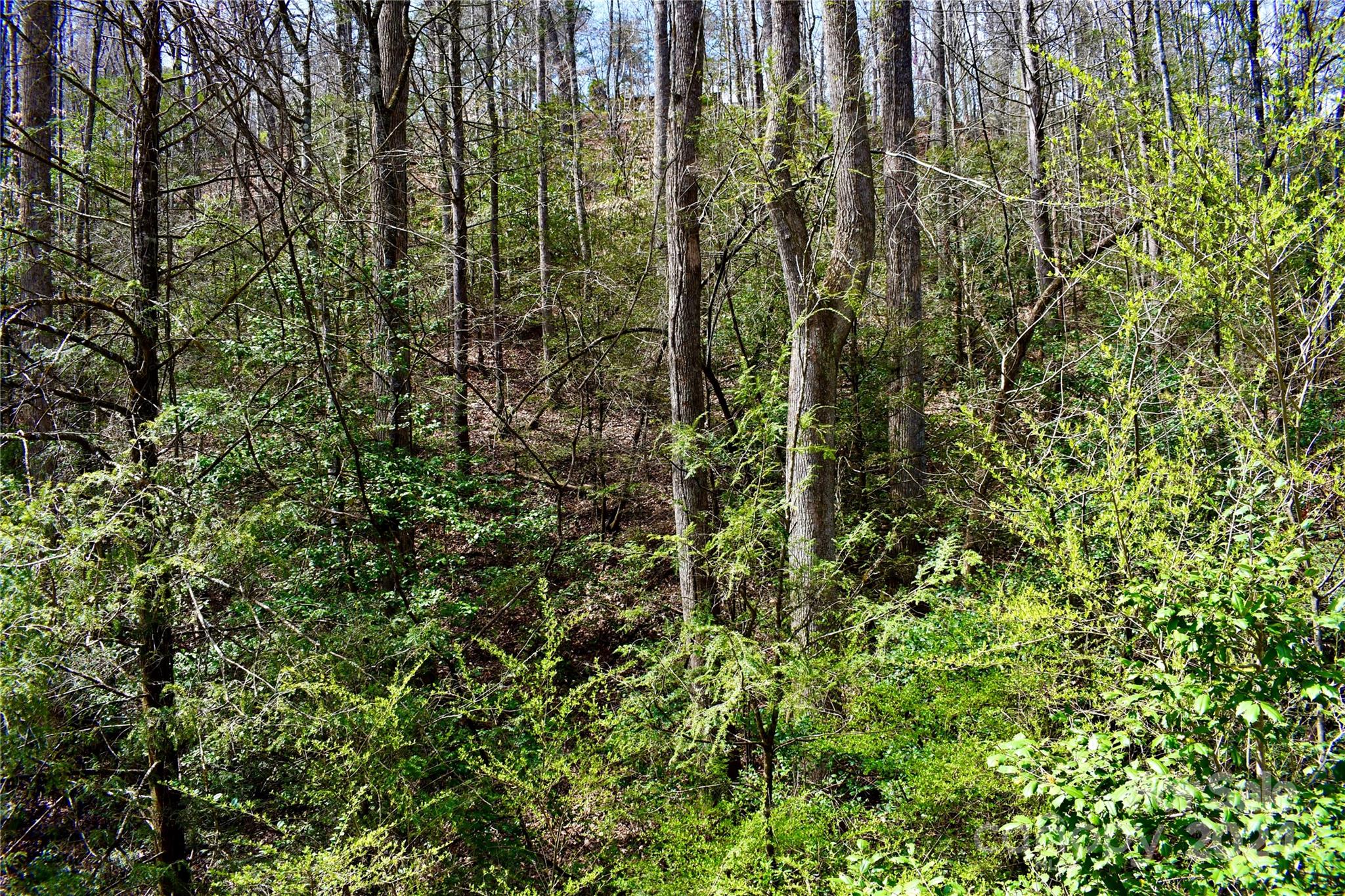 0 Ebenezer Road Old Fort, NC 28762 - Photo 16 of 20 Gallery Image 16