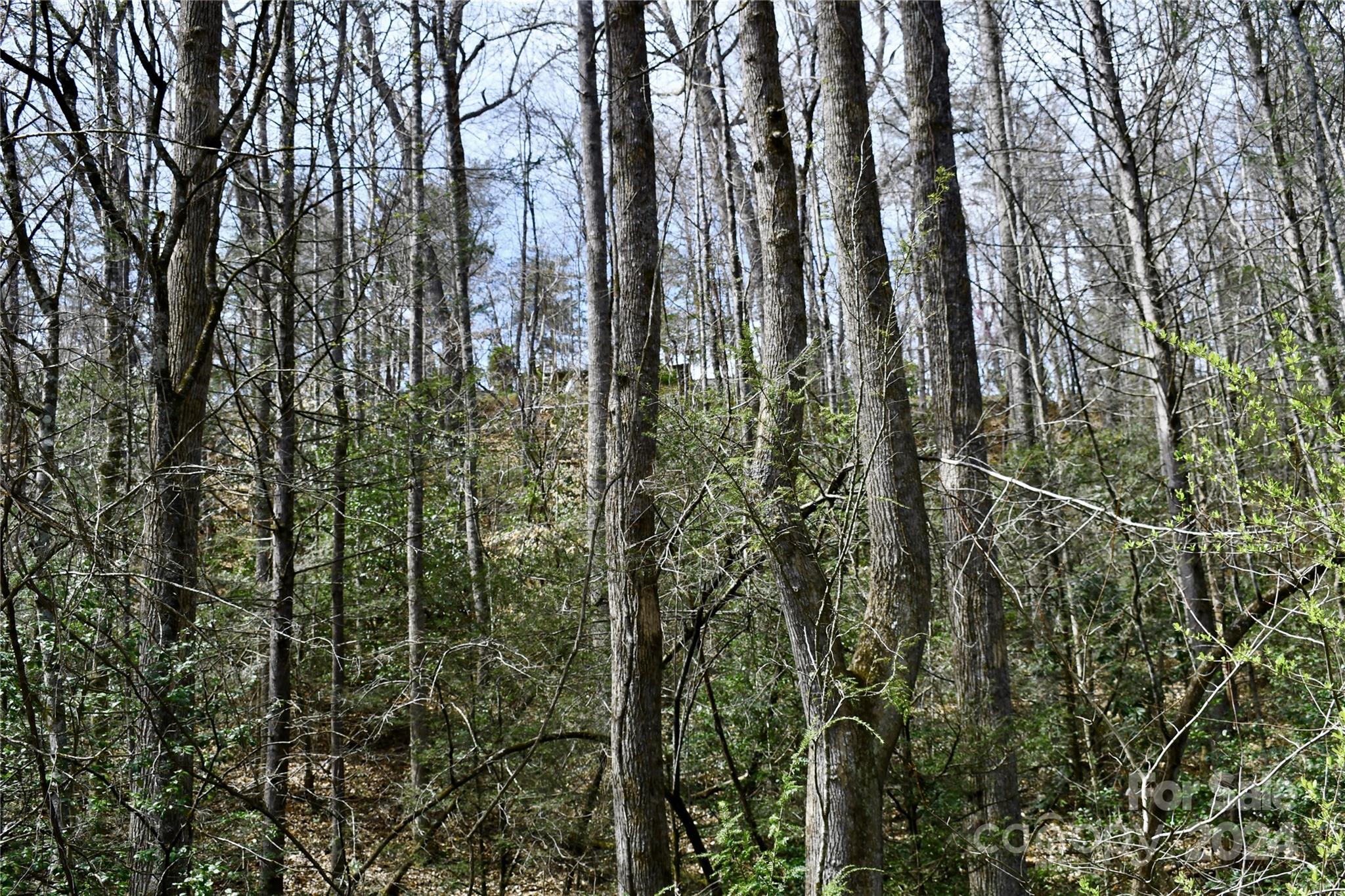 0 Ebenezer Road Old Fort, NC 28762 - Photo 17 of 20 Gallery Image 17