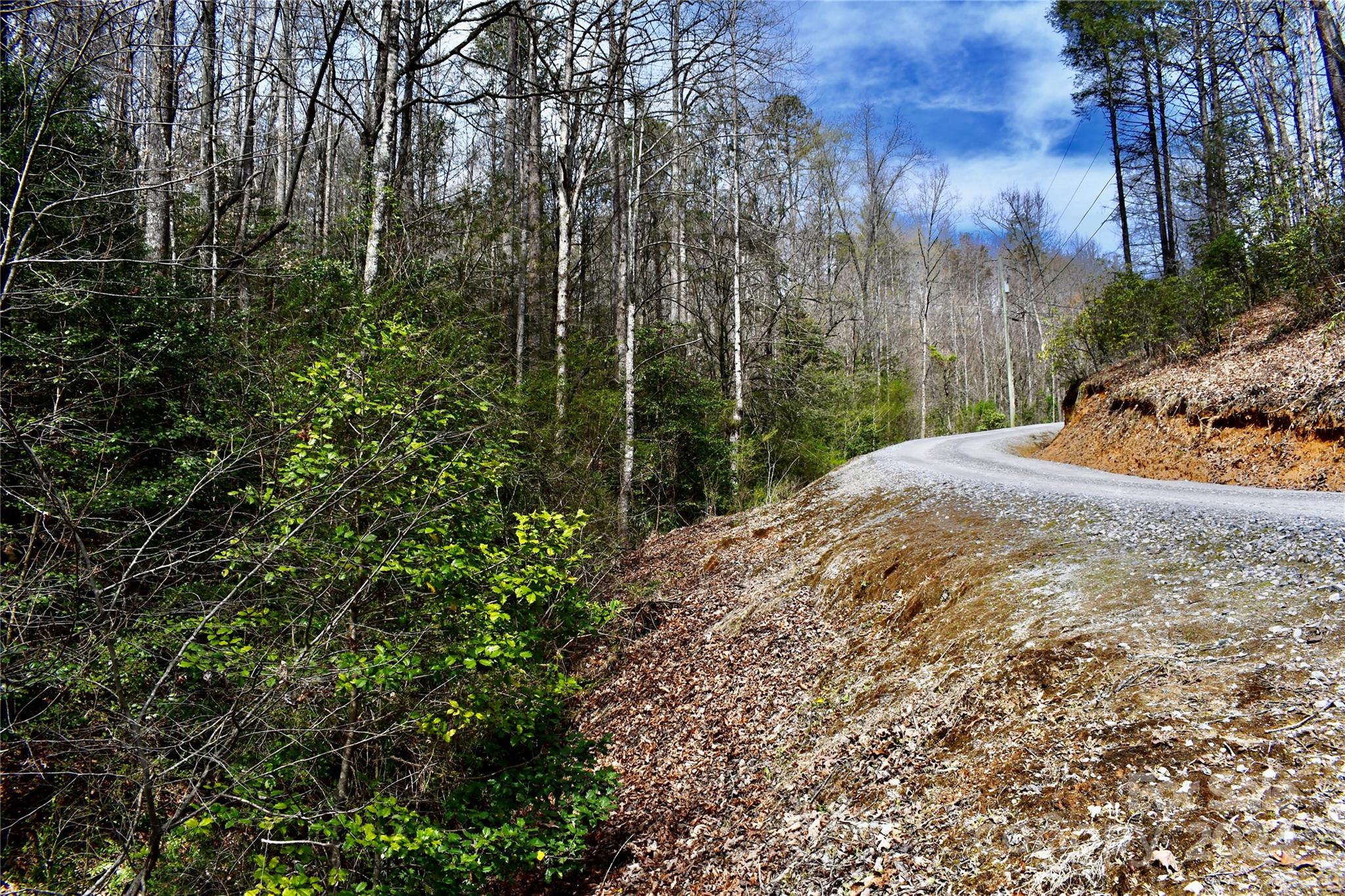0 Ebenezer Road Old Fort, NC 28762 - Photo 18 of 20 Gallery Image 18