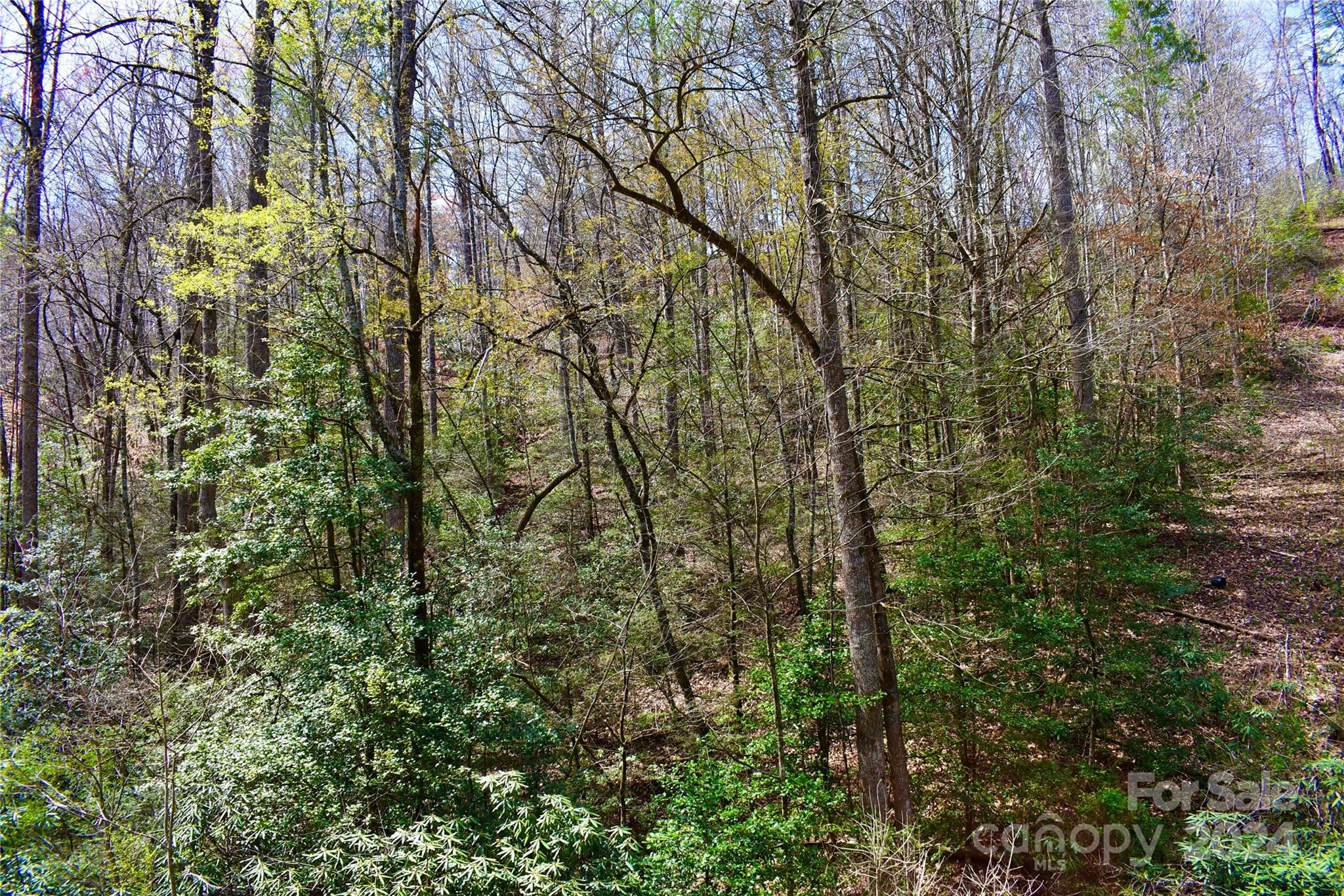 0 Ebenezer Road Old Fort, NC 28762 - Photo 19 of 20 Gallery Image 19