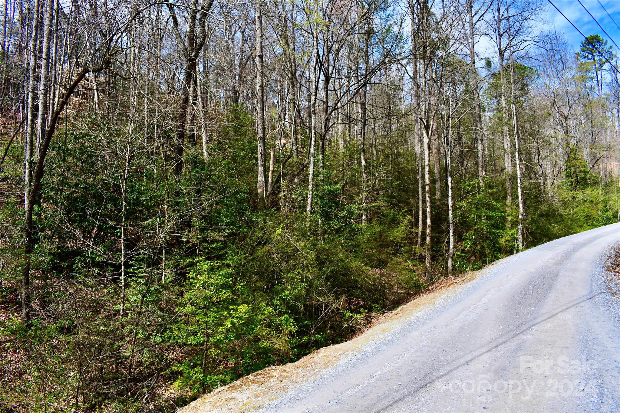 0 Ebenezer Road Old Fort, NC 28762 - Photo 2 of 20 Gallery Image 2