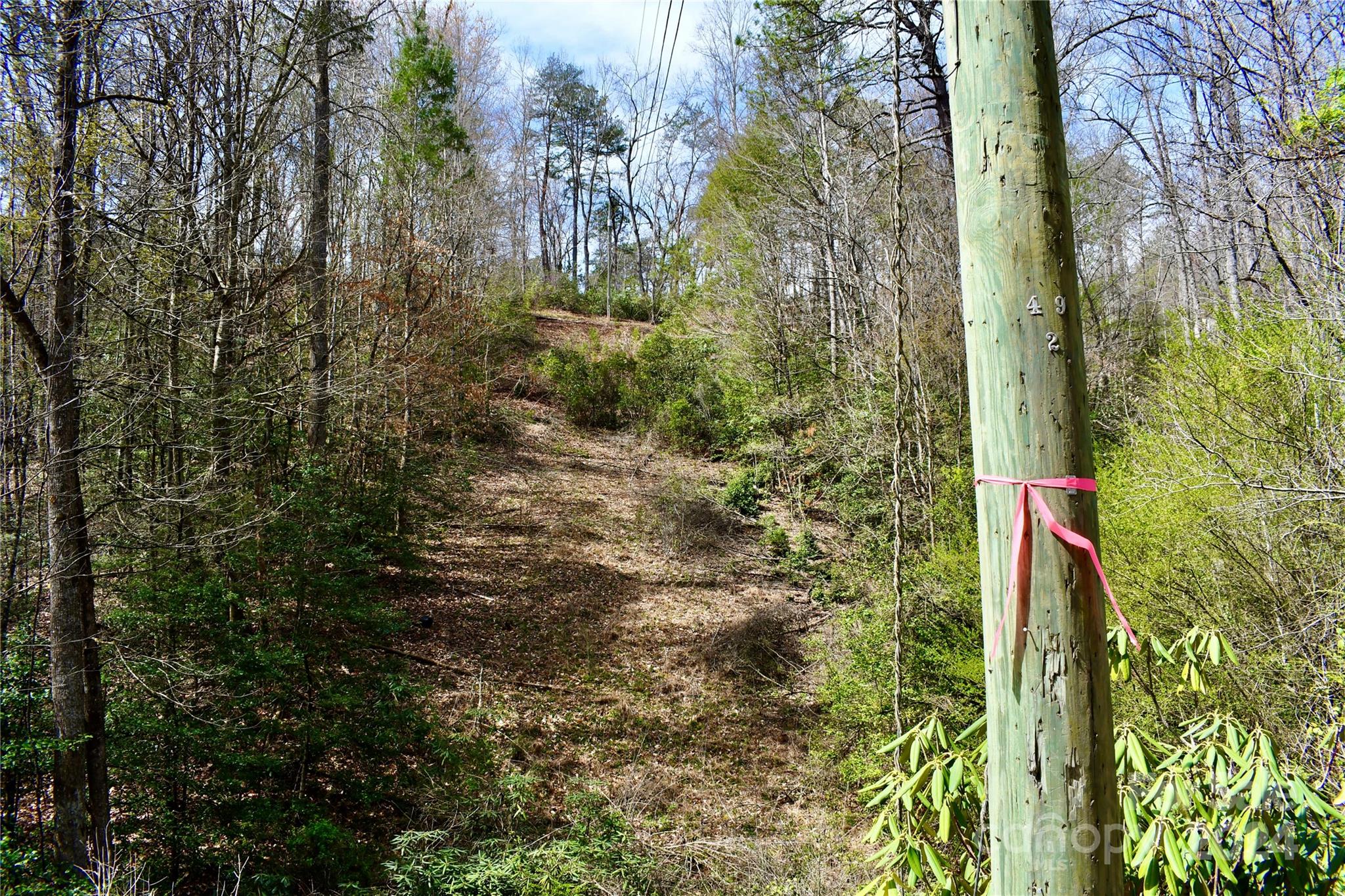 0 Ebenezer Road Old Fort, NC 28762 - Photo 4 of 20 Gallery Image 4