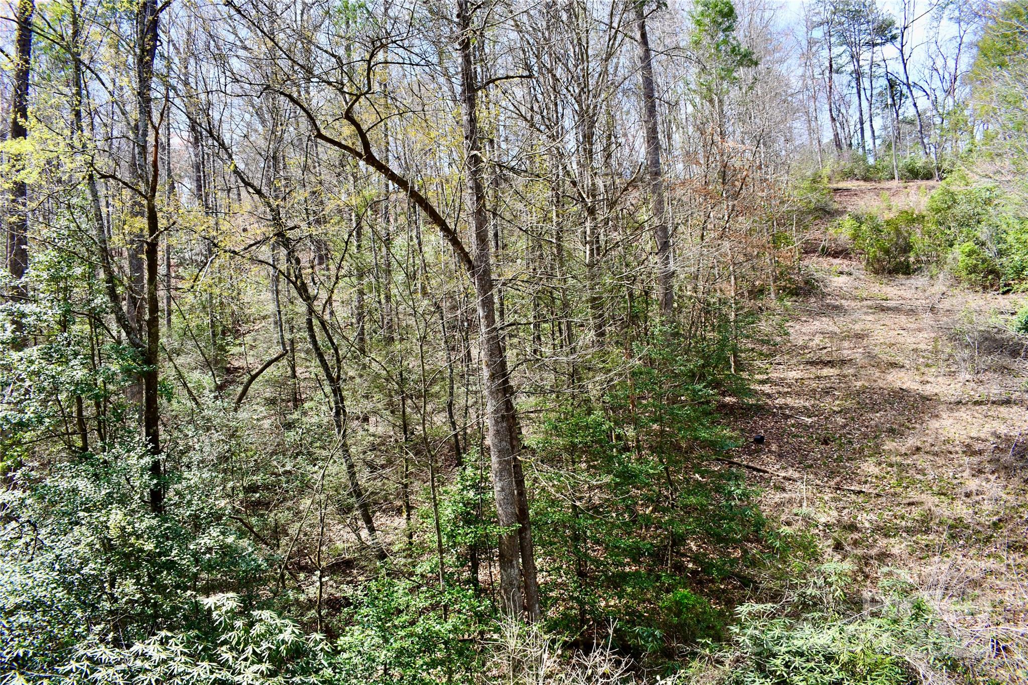 0 Ebenezer Road Old Fort, NC 28762 - Photo 5 of 20 Gallery Image 5