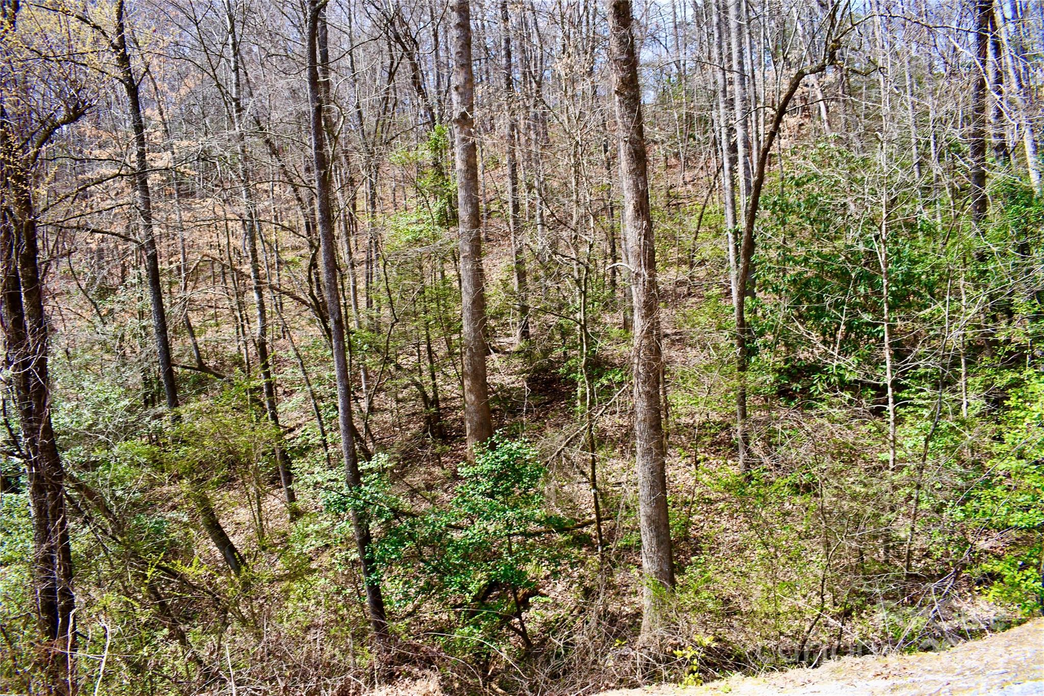 0 Ebenezer Road Old Fort, NC 28762 - Photo 7 of 20 Gallery Image 7