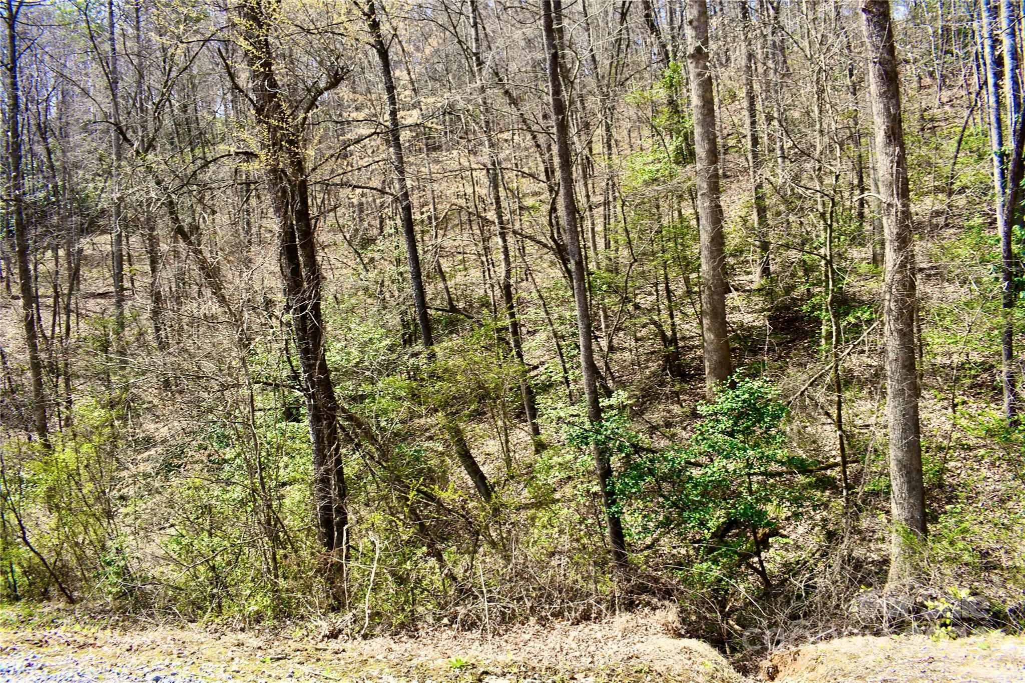 0 Ebenezer Road Old Fort, NC 28762 - Photo 8 of 20 Gallery Image 8