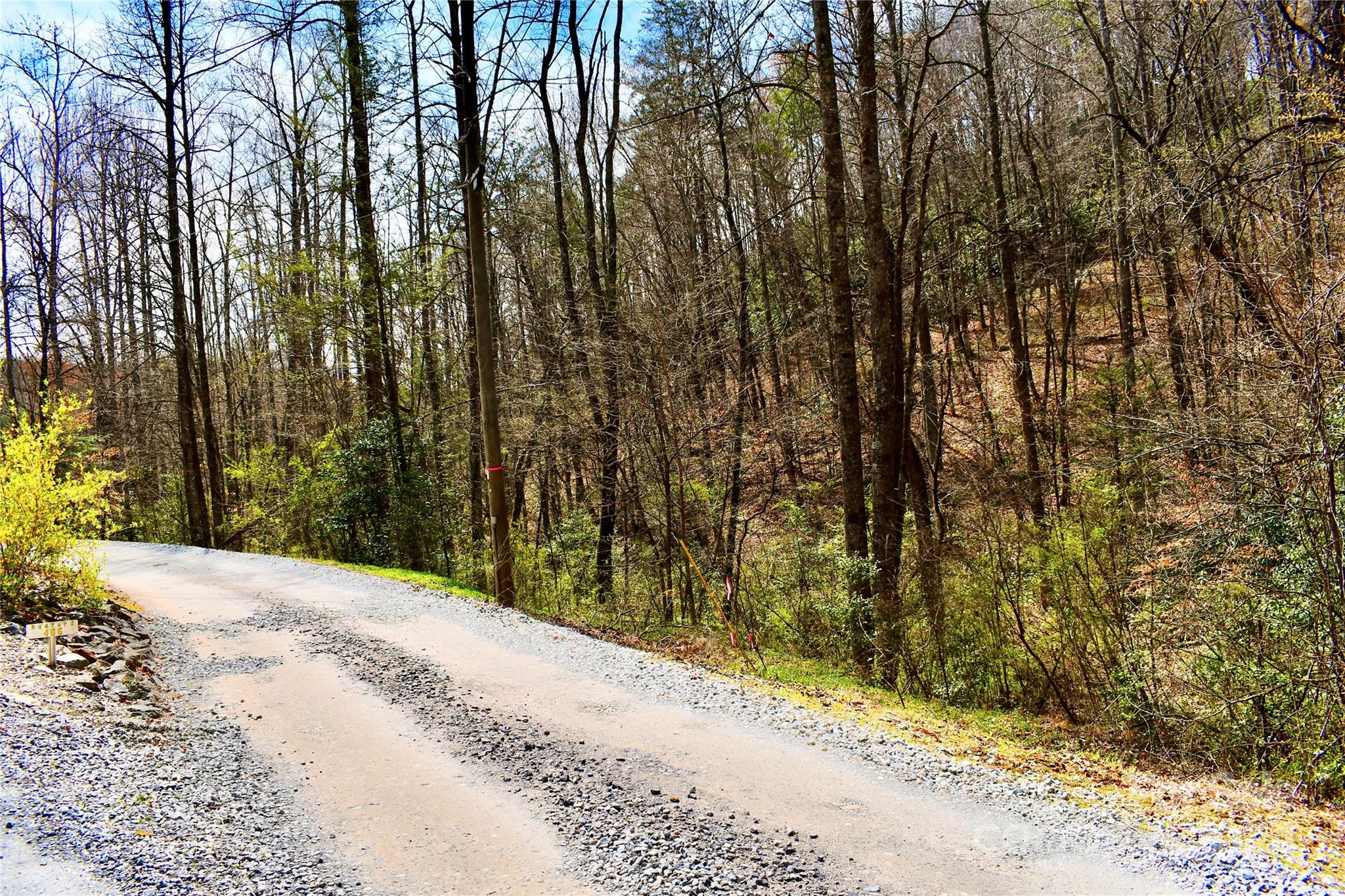 0 Ebenezer Road Old Fort, NC 28762 - Photo 10 of 20 Gallery Image 10