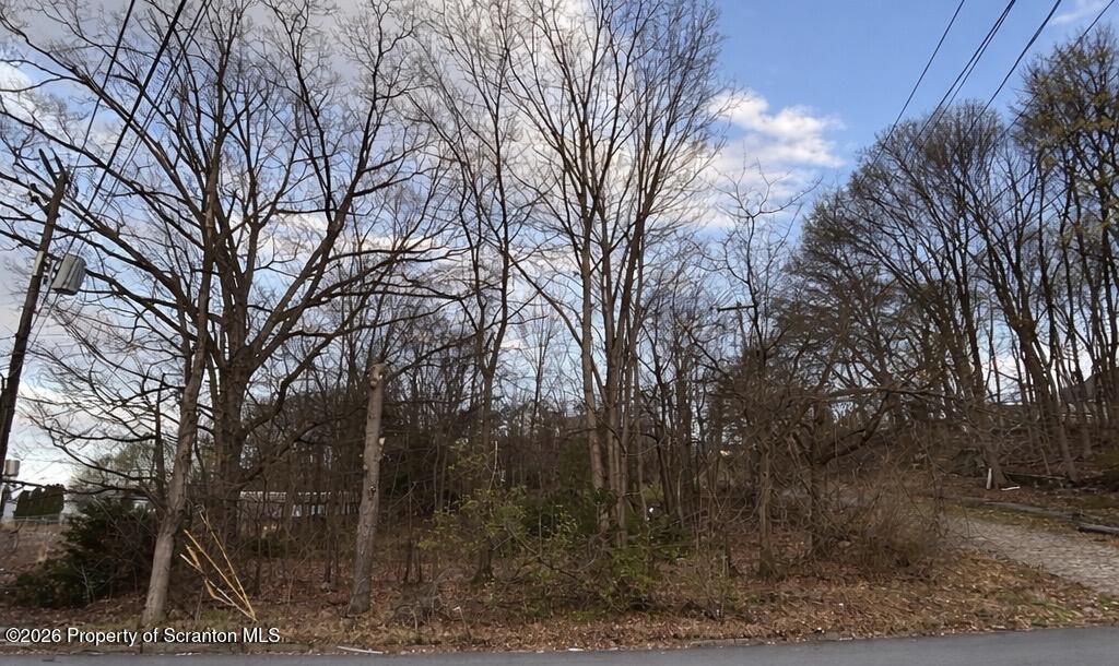 Corner Clay & Poplar Scranton Pa Scranton, PA 18510 - Photo 5 of 6 a view of a yard with large trees