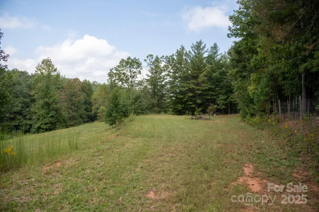 a view of a field with trees in the background