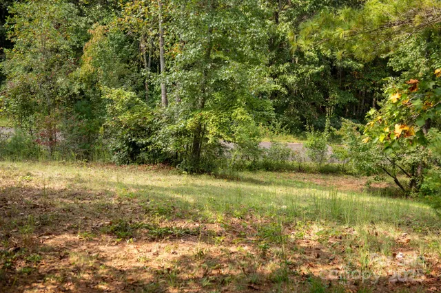 a view of a lake with a yard