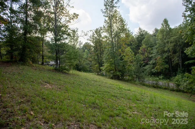 a big yard with lots of green space and deers