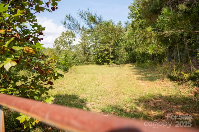 a view of a wooden house with a yard and plants