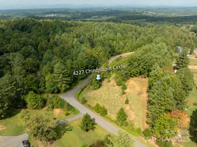 a view of a swimming pool with a yard