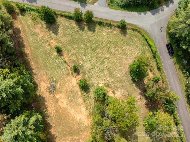 a view of a yard with a tree