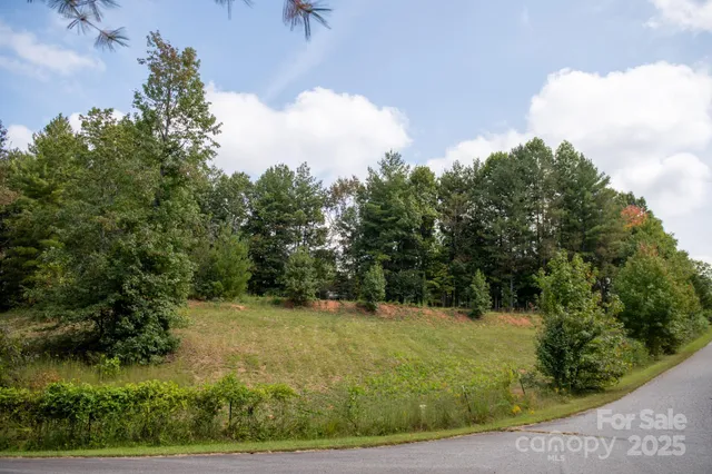 a view of a green yard with large trees