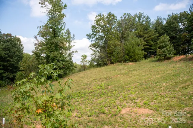 a view of a yard with a tree