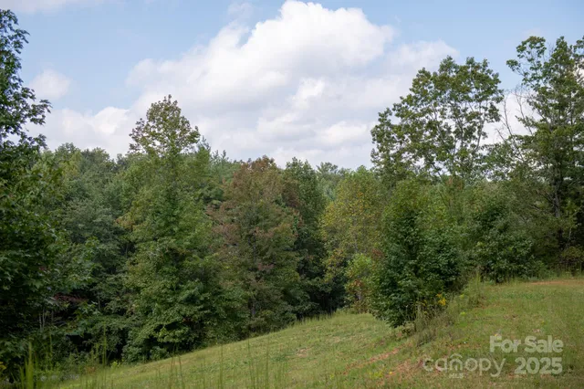 a view of a green field with lots of bushes