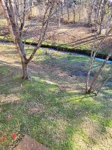 a view of a yard with a tree