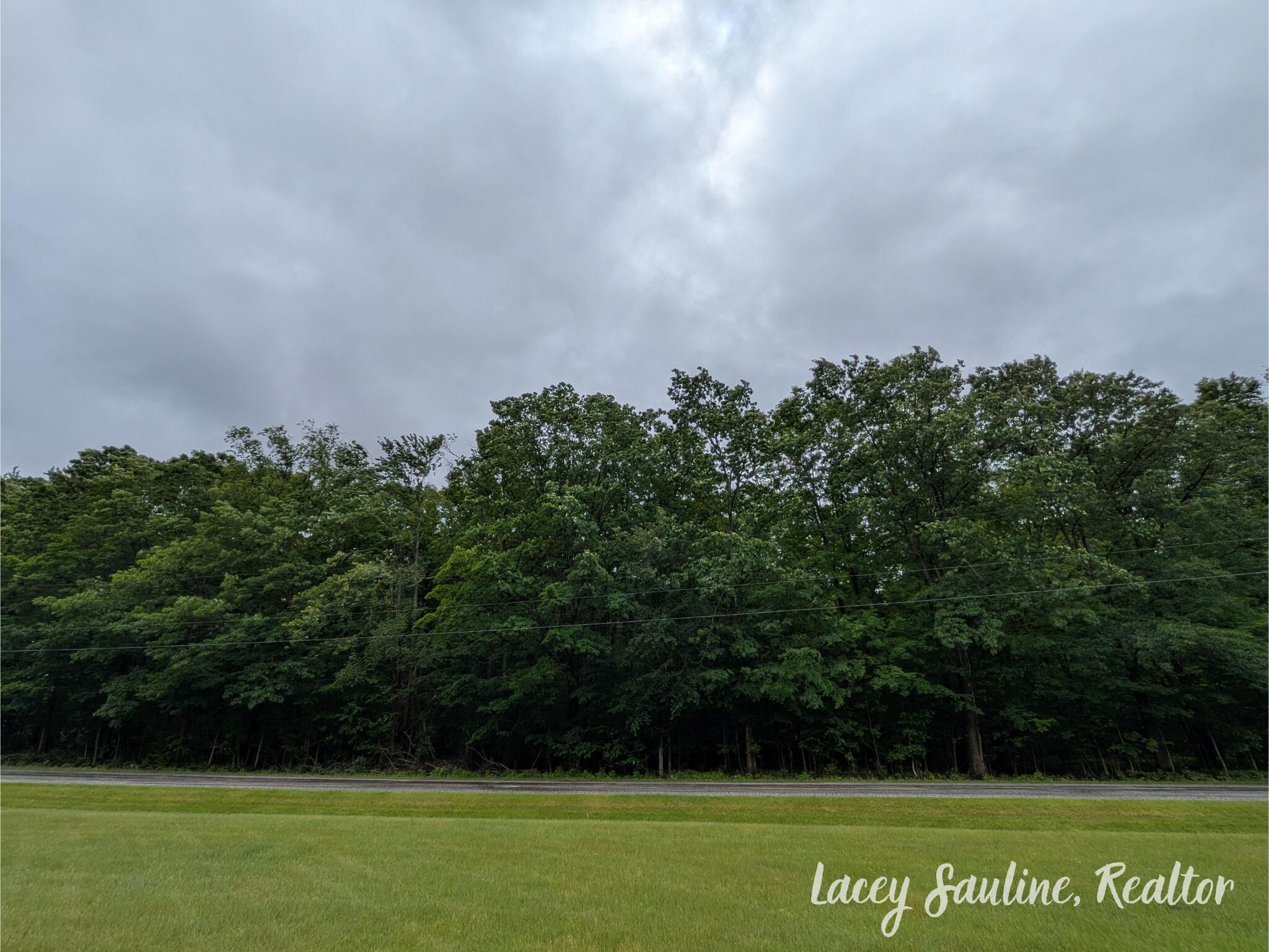 West Finkle Road Cadillac, MI 49601 - Photo 12 of 21 Lacey Sauline (2)