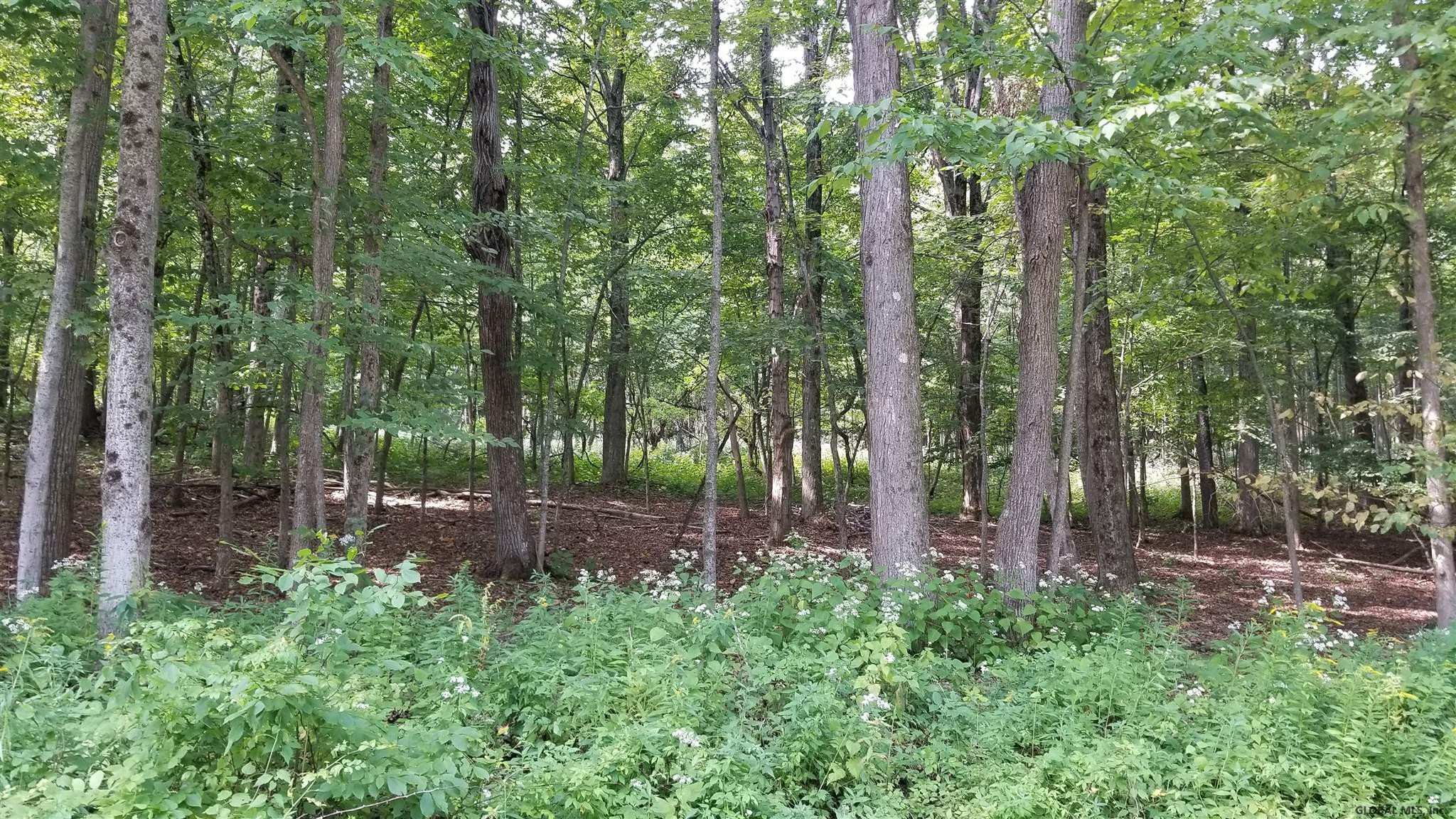 0 Rt 408 Westerlo, NY 12193 - Photo 4 of 6 Photo 4