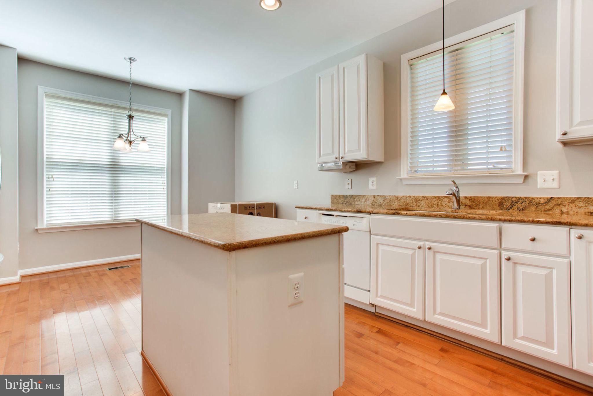 13550 Ryton Ridge Lane Gainesville, VA 20155 - Photo 9 of 46 Plenty of cabinet space with cabinet pullouts