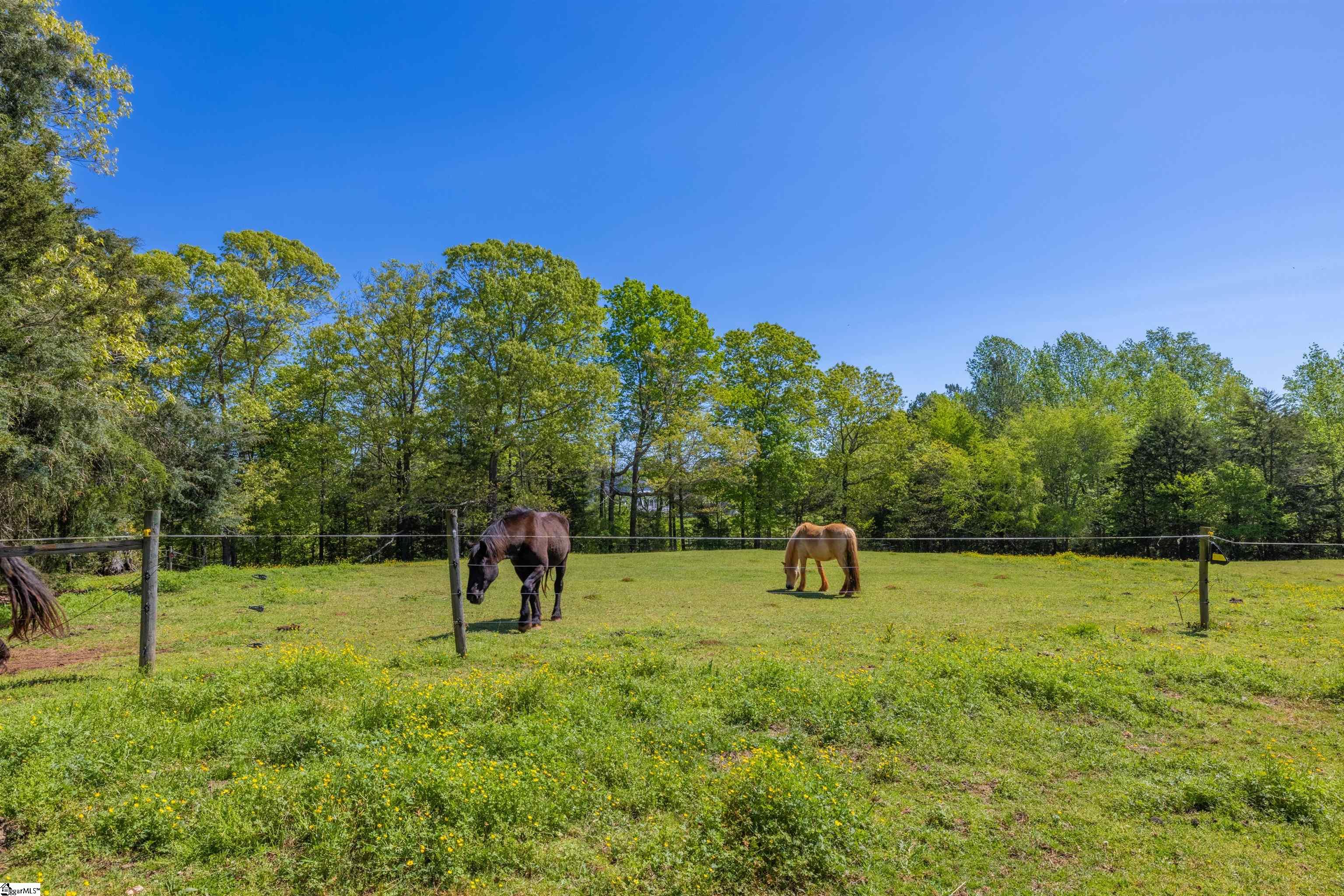 624 Tall Oak Trail Seneca, SC 29678 - Photo 32 of 36