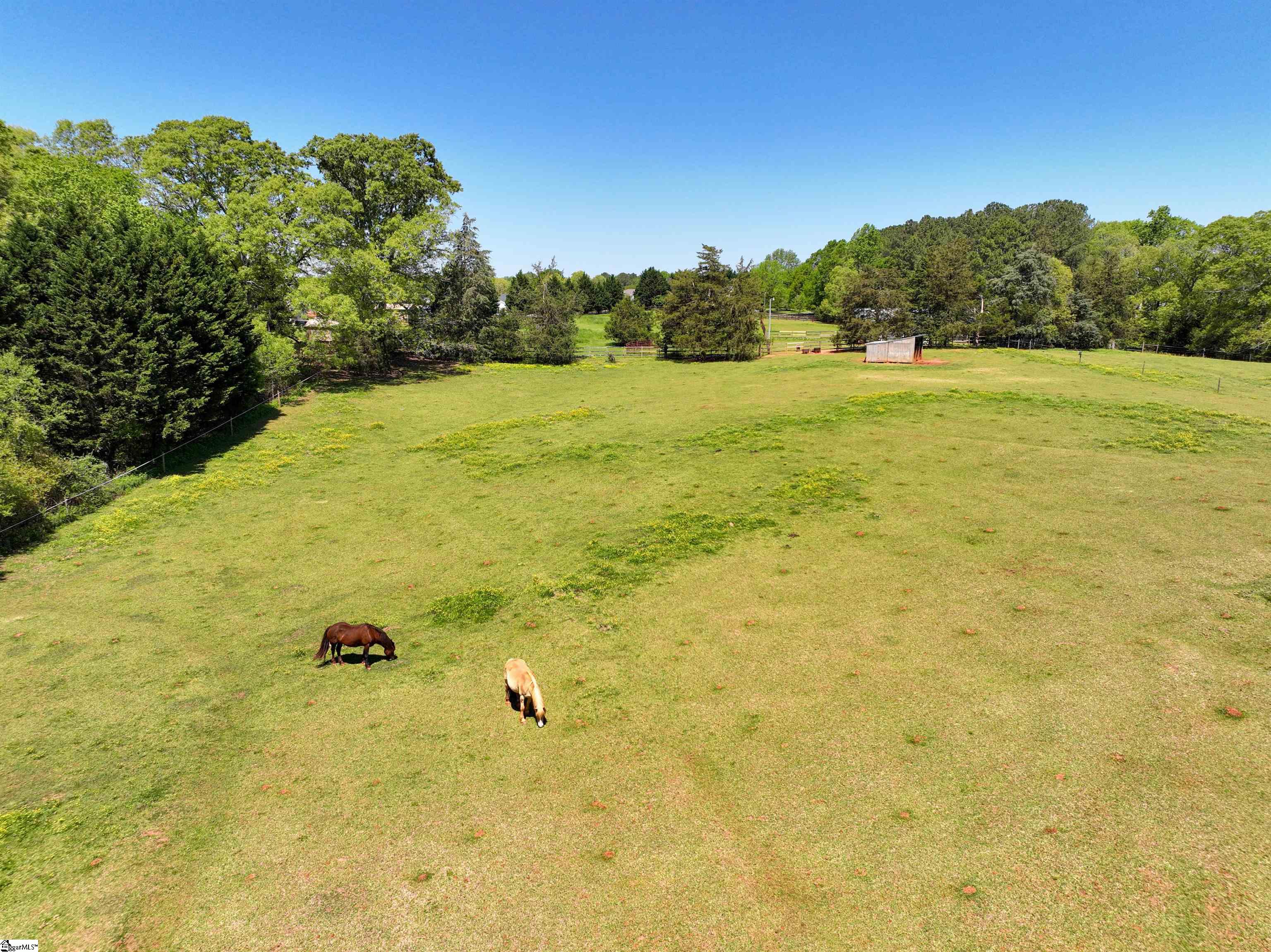 624 Tall Oak Trail Seneca, SC 29678 - Photo 34 of 36