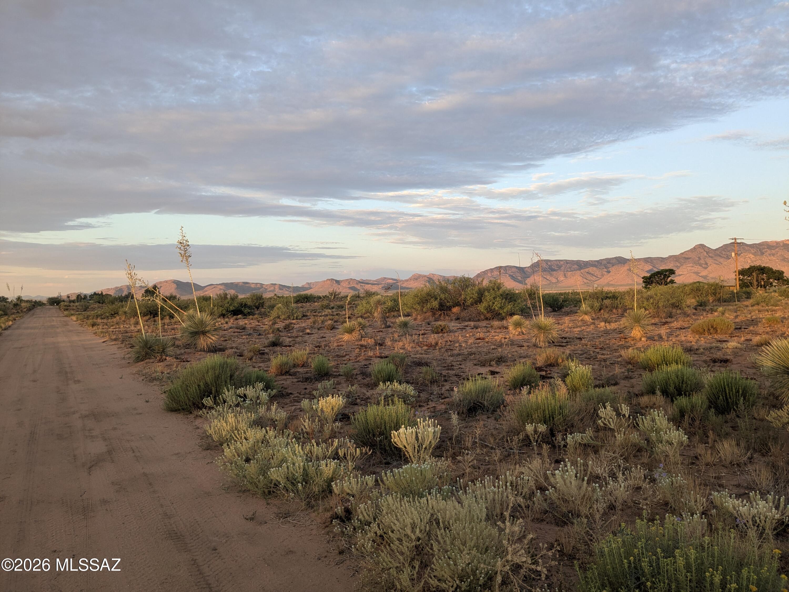 County Line Road, Unit 20909021 Willcox, AZ 85643 - Photo 9 of 12 PXL_20260709_123437575